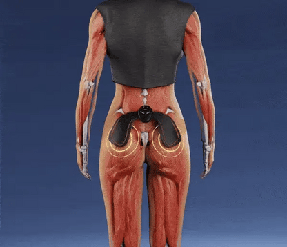GluteoFit RD "Masajeador de Gluteos"